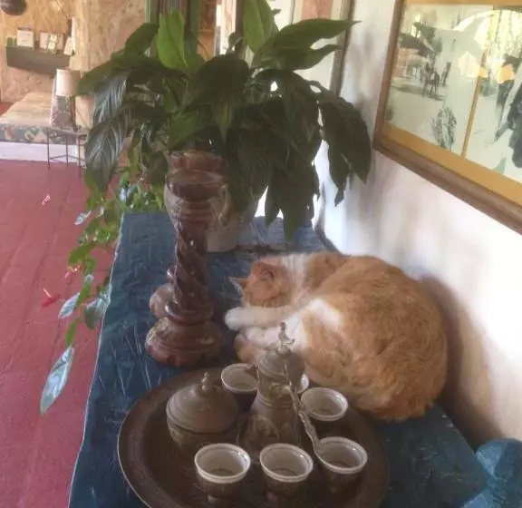 ペンション Ca' La Somara