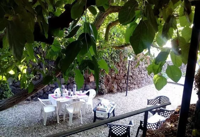 B&b Villa Lidia