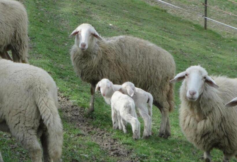 בית מלון כפרי Agriturismo Alla Vecchia Quercia