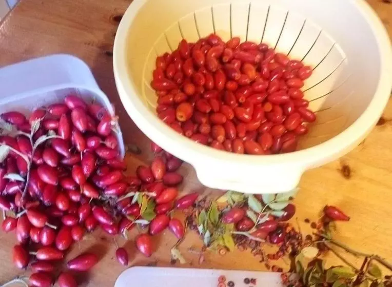 ホテル Agriturismo Alla Vecchia Quercia