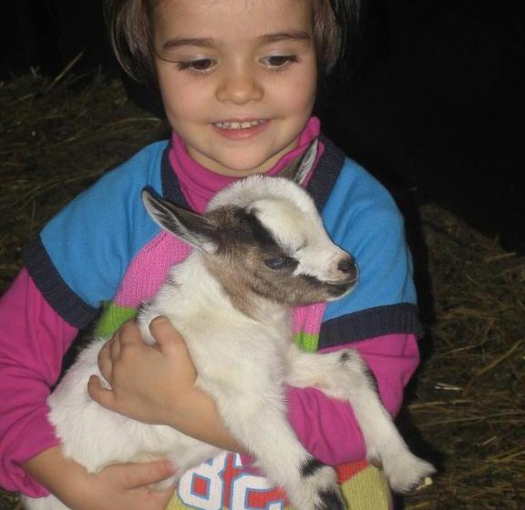 酒店 Agriturismo Il Casale