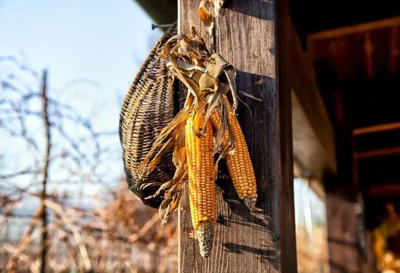 ホテル Agriturismo Residenza Il Girasole