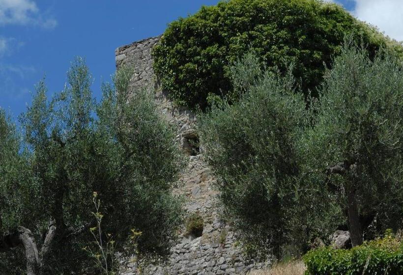 酒店 Castello Di Mongiovino