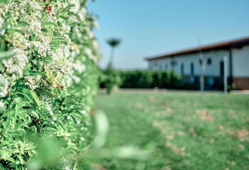 호텔 La Massarìa Agriresort