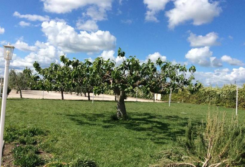 호텔 La Massarìa Agriresort