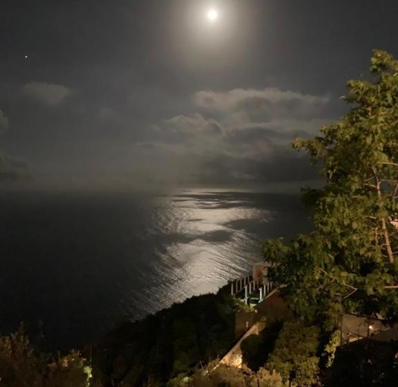 膳宿费 Giuliana's View