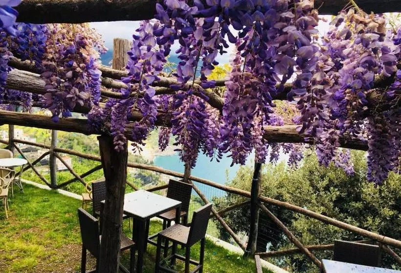 Majatalo Giuliana's View