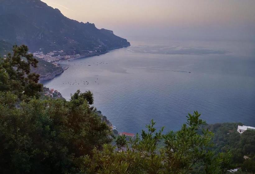 膳宿费 Giuliana's View