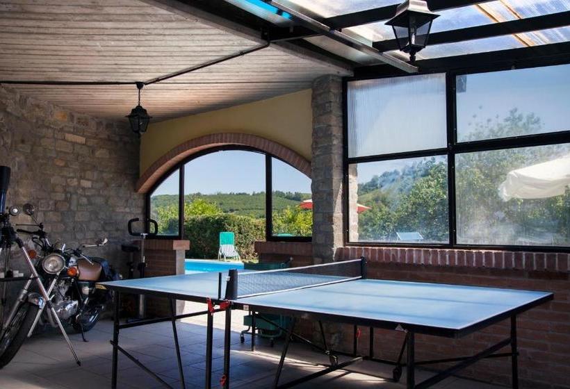 بنسيون La Lepre Danzante