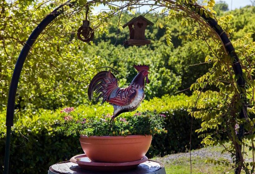 بنسيون La Lepre Danzante