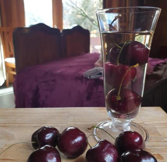 膳宿费 Villa Amaranta Room And Breakfast