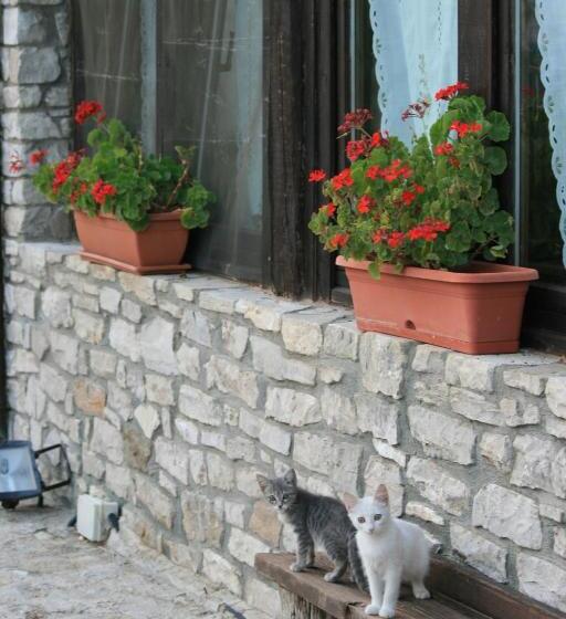 בית מלון כפרי Agriturismo Capuano