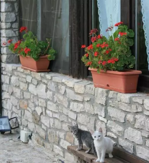 ホテル Agriturismo Capuano