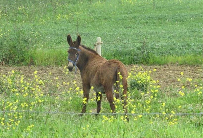 בית מלון כפרי Agriturismo Capuano