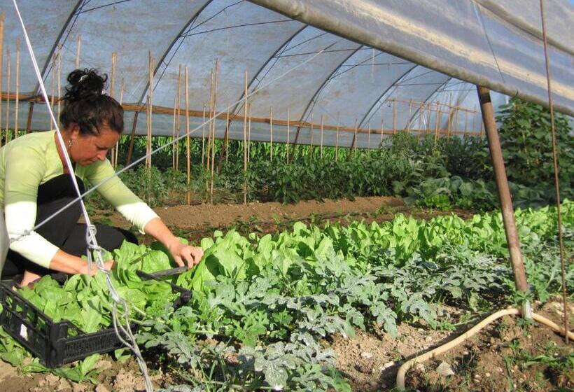 ホテル Agriturismo Le Noci