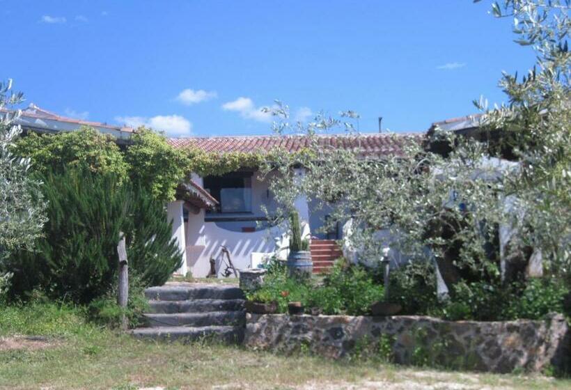 Отель Tenuta Don Ballore