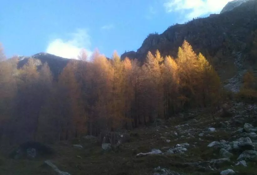 ペンション Zwargji