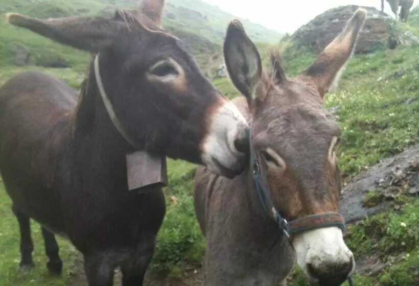 ペンション Zwargji