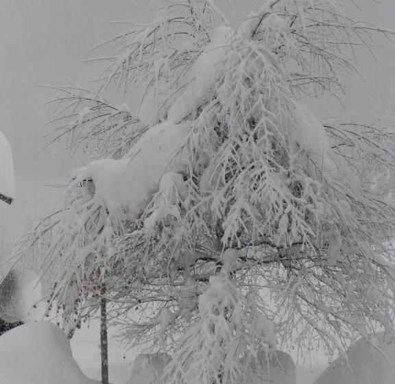 Apartments Residence Alta Badia