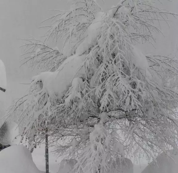 Apartments Residence Alta Badia