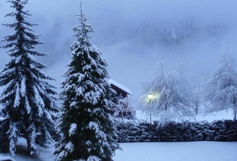 Apartments Residence Alta Badia