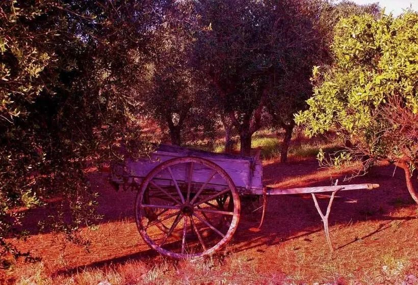 ホテル Agriturismo La Crianza
