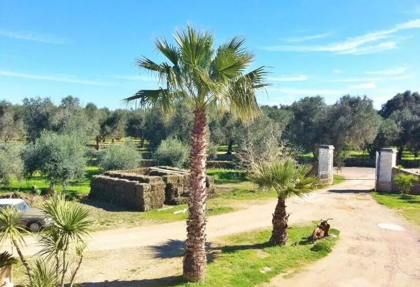 ホテル Agriturismo La Crianza