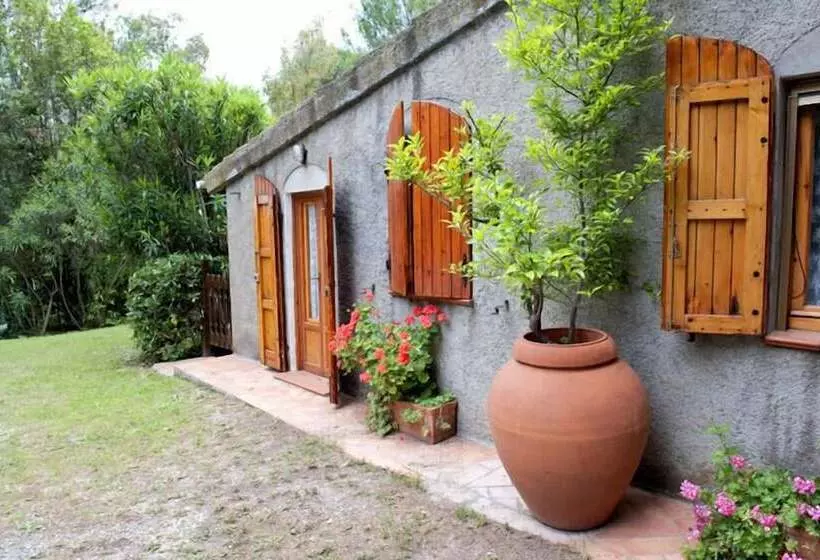 ホテル Agriturismo Podere Campalto