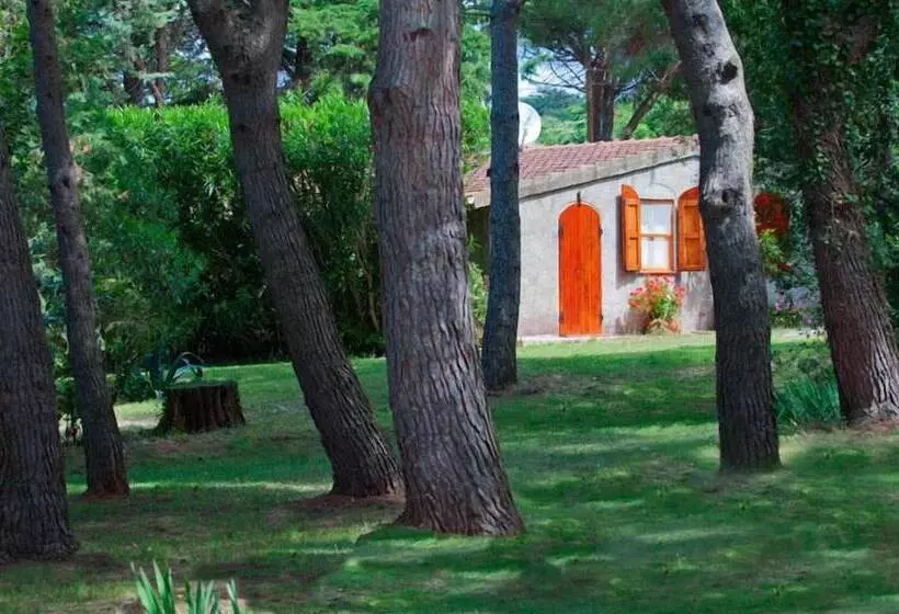ホテル Agriturismo Podere Campalto