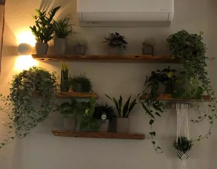 هتل Agriturismo S'ispiga