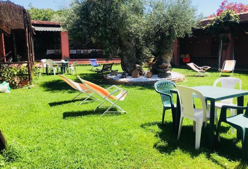 호텔 Agriturismo Su Barraccu