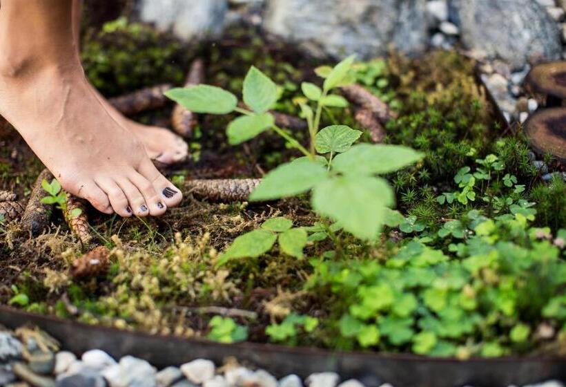 Отель Appartementhaus Lechnerhof