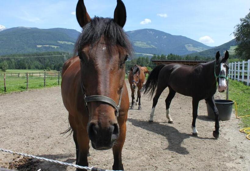 酒店 Appartementhaus Lechnerhof