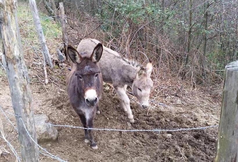 Отель Azienda Agrituristica Risveglio Naturale
