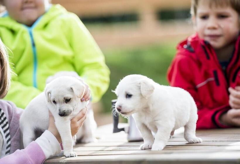 Отель Berry House