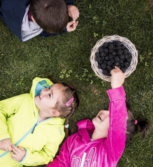 Отель Berry House