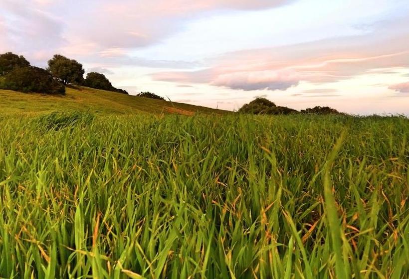 בית מלון כפרי L'ulivo
