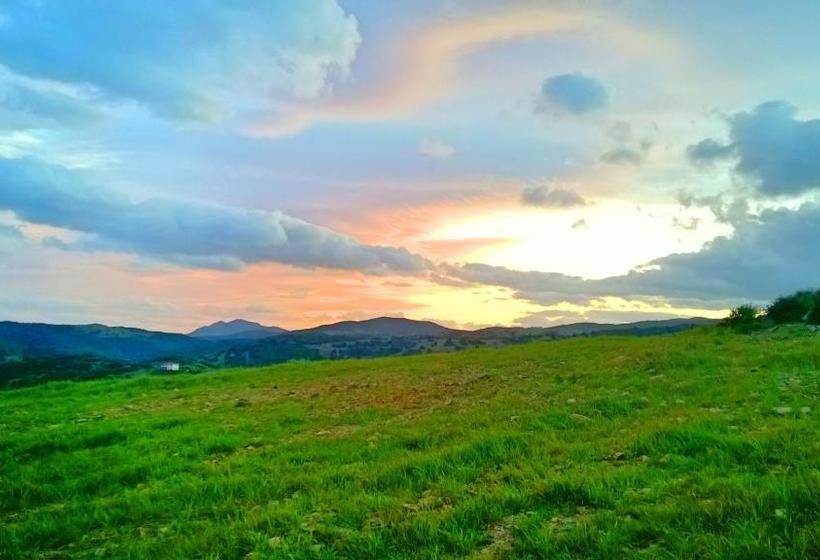 בית מלון כפרי L'ulivo