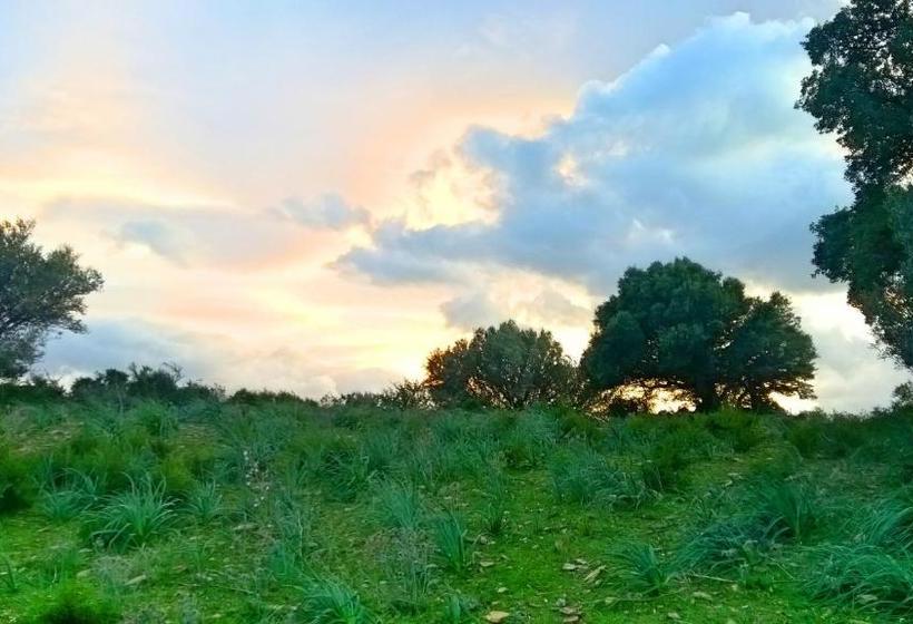 בית מלון כפרי L'ulivo