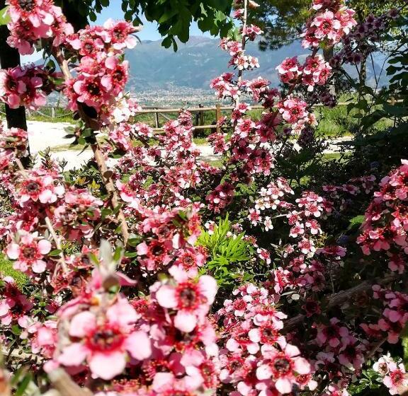 호텔 La Staccionata