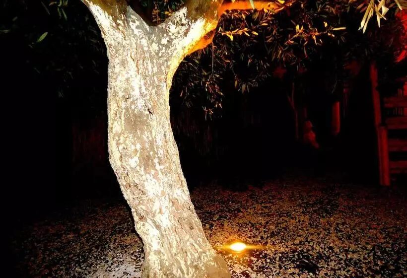 پانسیون Ciuscia