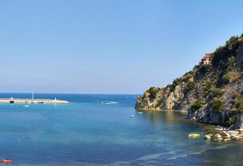 膳宿费 Palazzo Dogana Resort