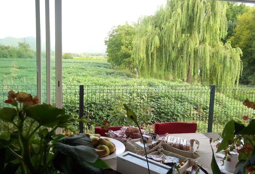 B&b La Via Dell'ambra