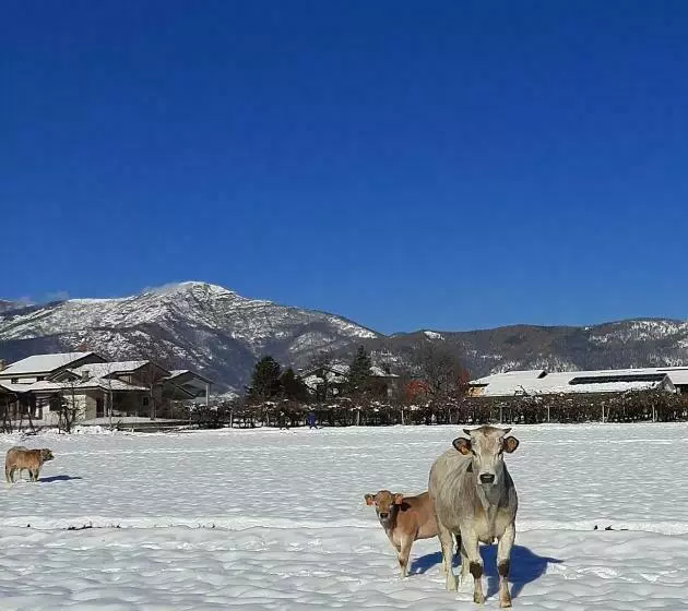 ホテル Agriturismo Fior Di Campo