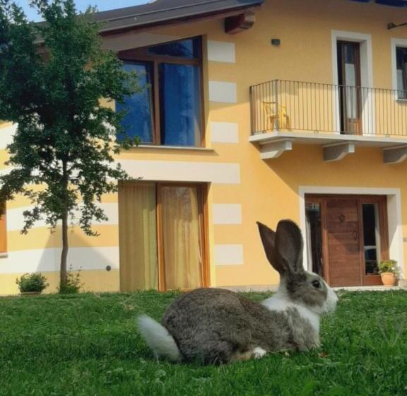 בית מלון כפרי Agriturismo Fior Di Campo