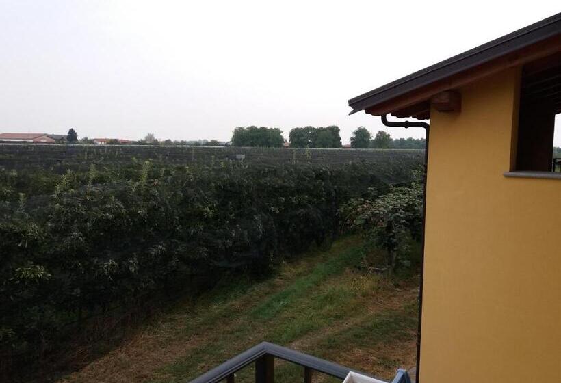 בית מלון כפרי Agriturismo Fior Di Campo