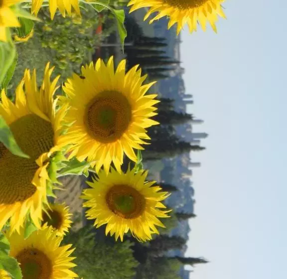 ホテル Agriturismo Montegonfoli