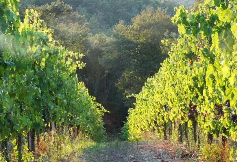 ホテル Agriturismo Montegonfoli