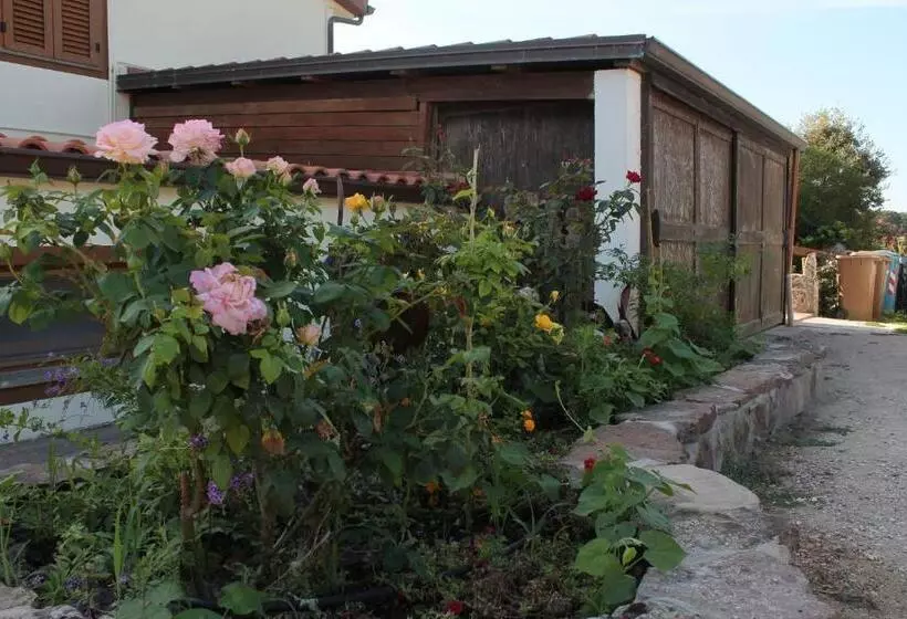 ホテル Agriturismo Su Recreu