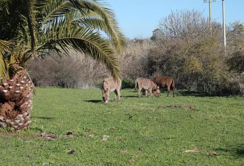 ホテル Agriturismo Su Recreu